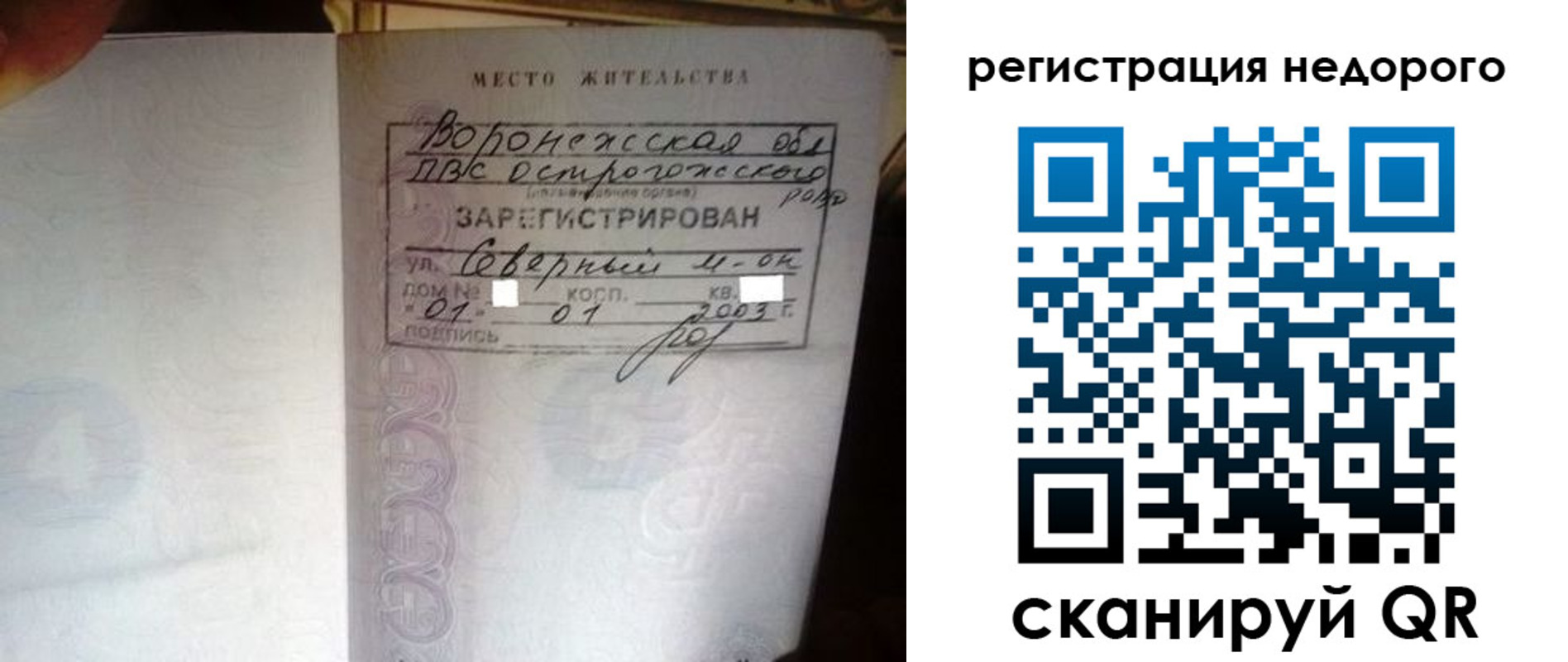 прописка для школы в Курской области