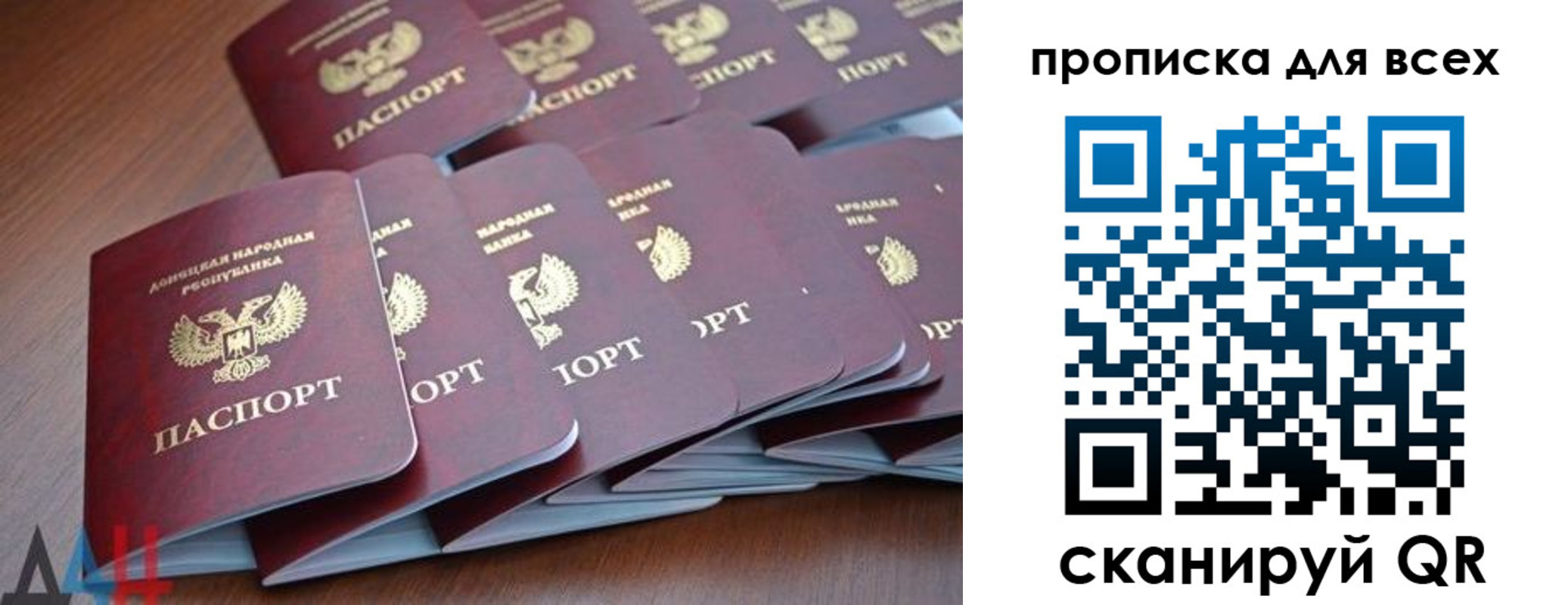 прописка в Курской области